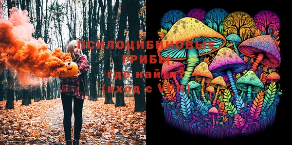 мяу мяу кристалл Покачи