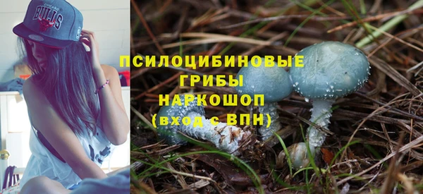 индика Покровск